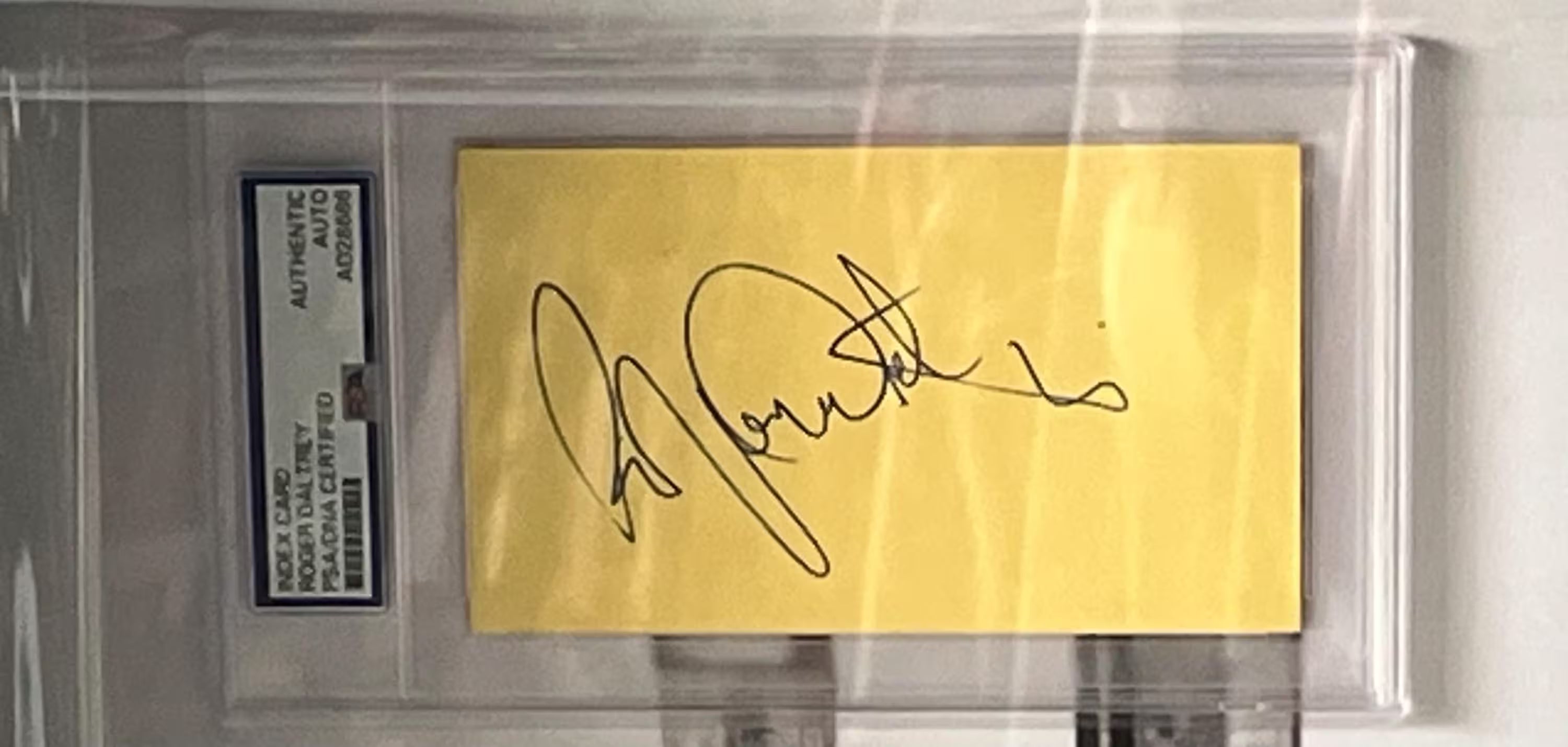 THE WHO group signed Collage Shadowbox Certified Signatures