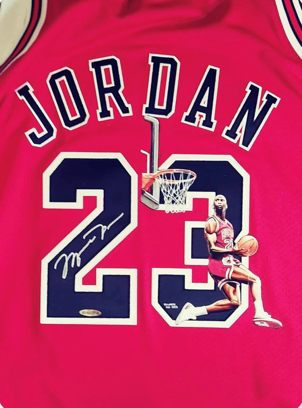 Michael Jordan Signed UDA Jersey with Hand Painted Photo