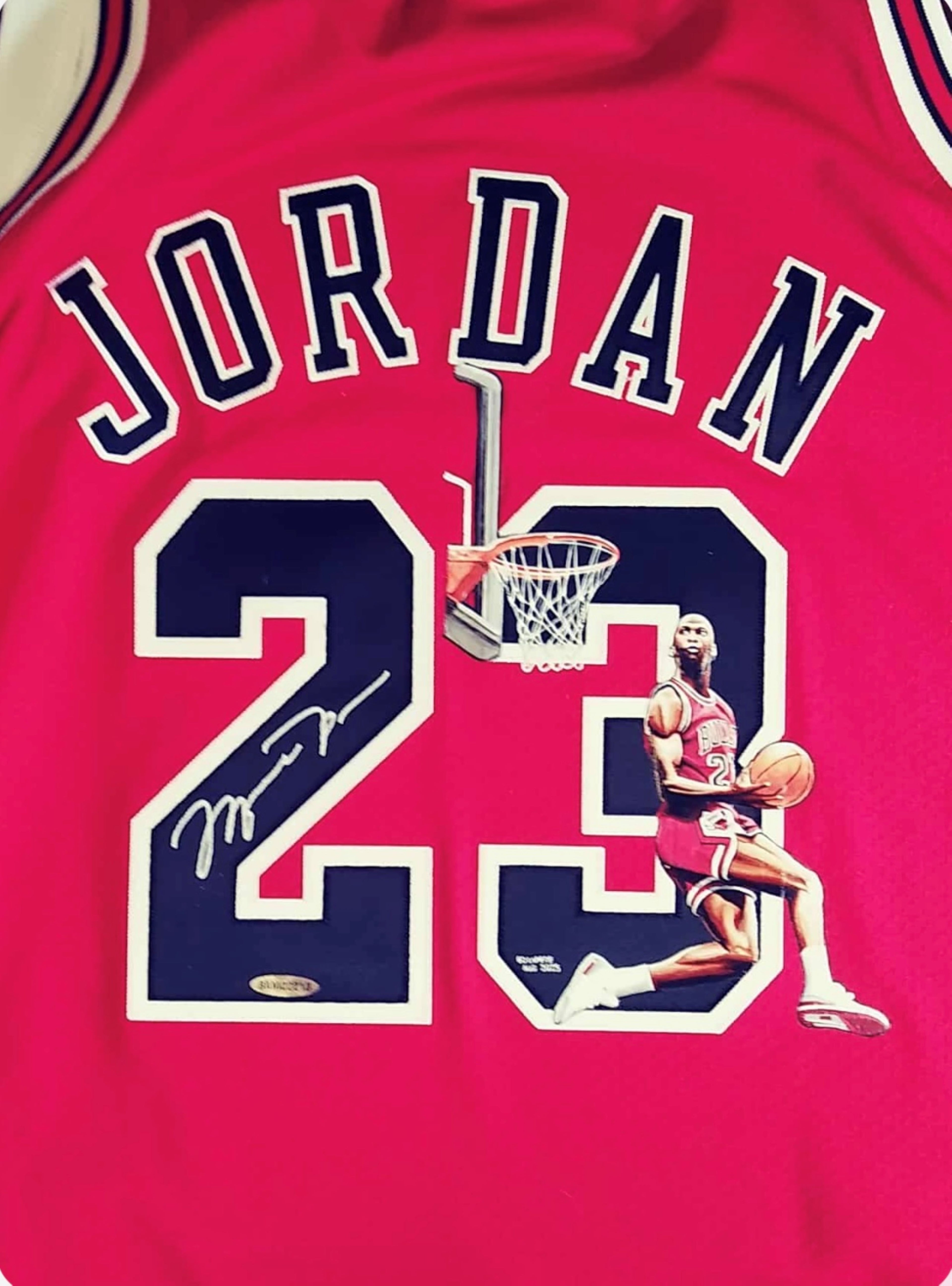 Michael Jordan Signed UDA Jersey with Hand Painted Photo