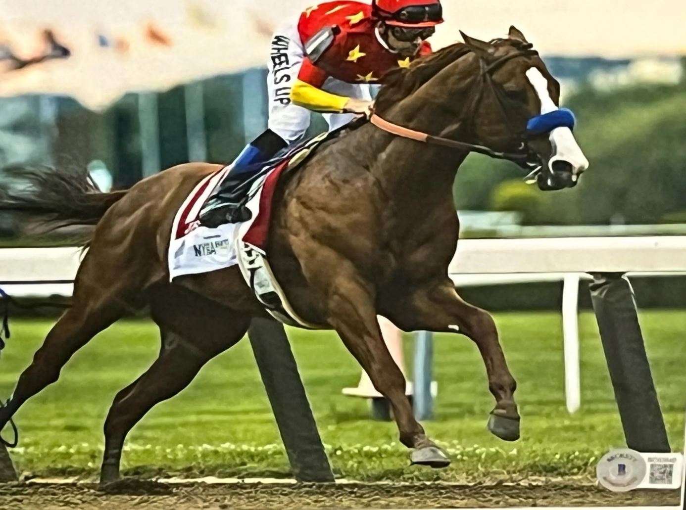 Triple Crown winning Jockeys Signed Photos custom framed Certified
