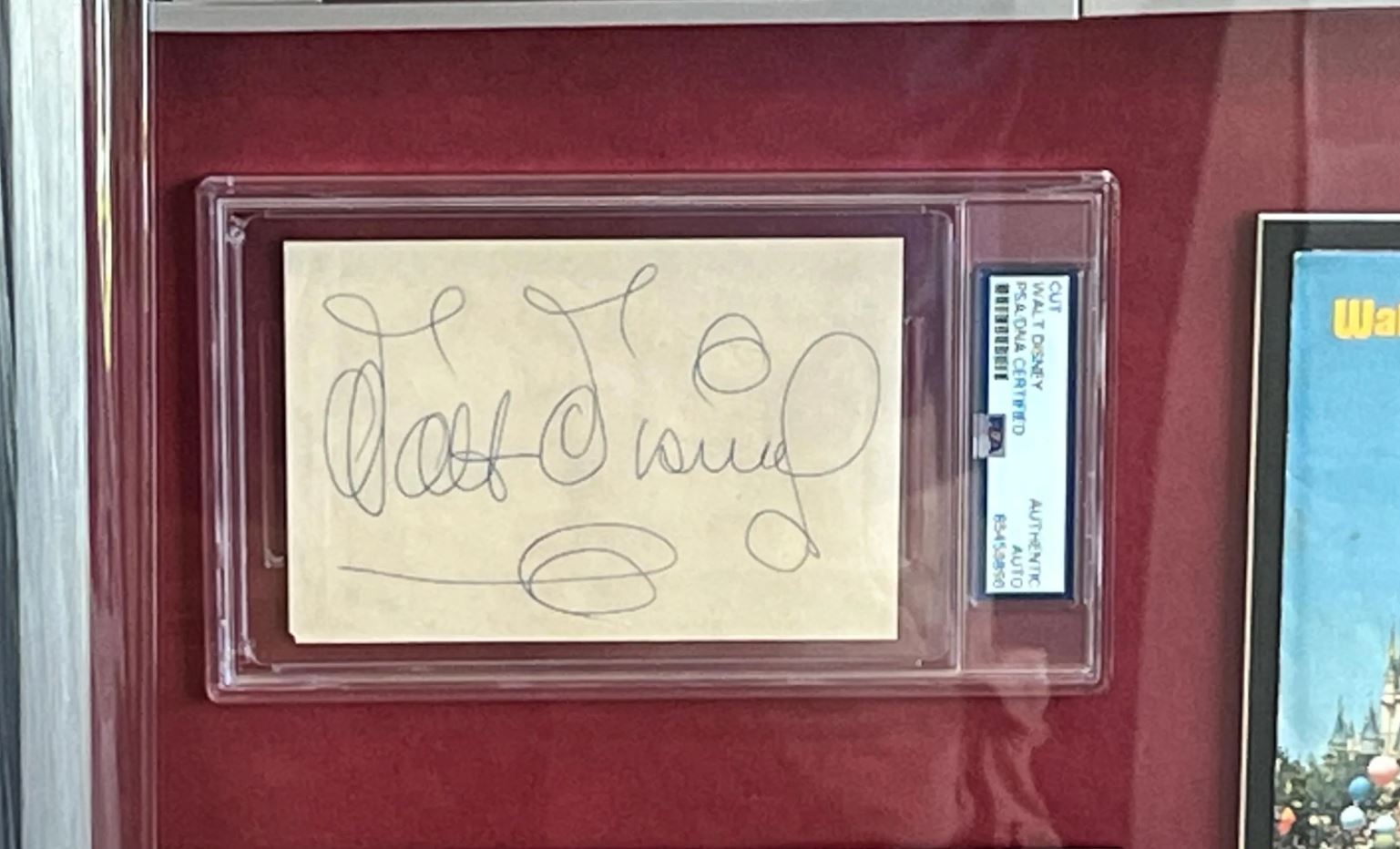 Walt & Roy Disney Signed Shadowbox Framed with Props Certified